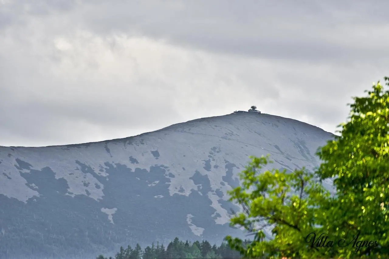 Homestay Villa Agnes Karpacz-Milkow